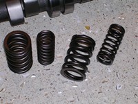 Schrick valve springs