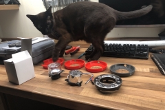 DC90CEED-5A4B-4319-9F60-A6604AD6FC24