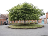 50yearsibmhursley34