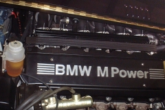 marlin_sportster_bmw_engine1a